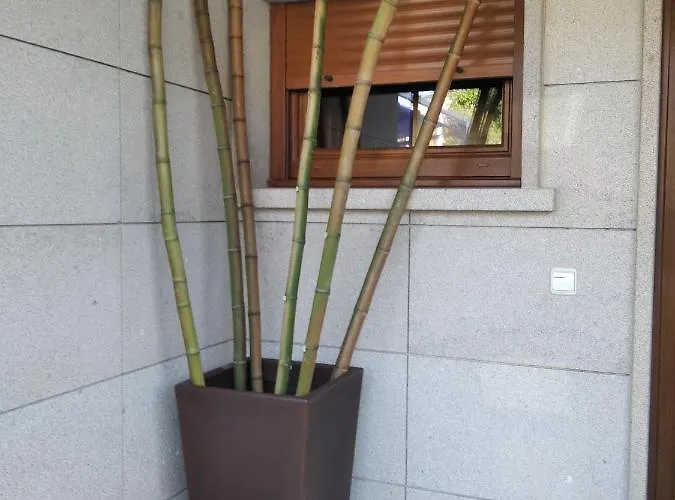 Σπίτι διακοπών Con Vista A Islas Cies *